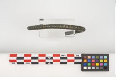 Foto von Bronzearmreif (NHMW-PRAE-025496)